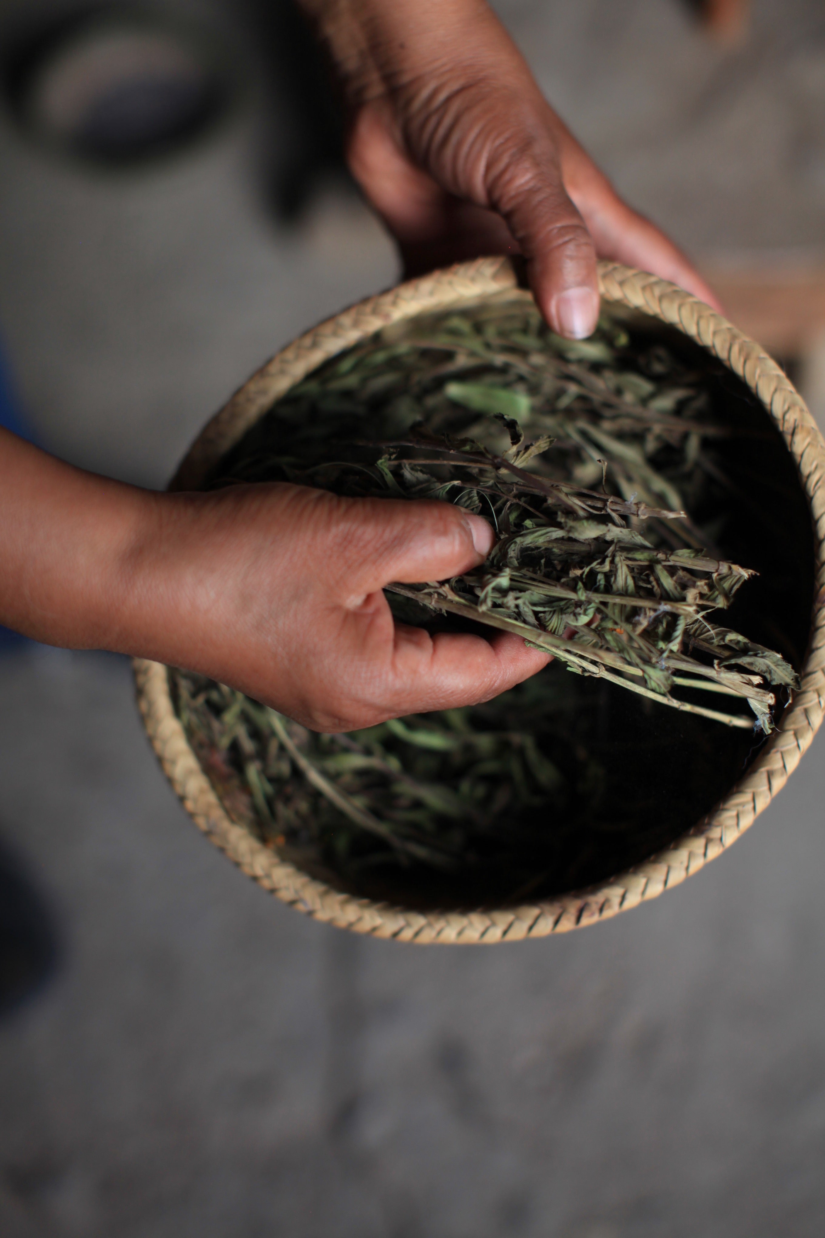 Madda Studio Natural Dye Workshop